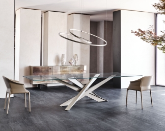 63d2a3bfdd72d-designovy-jidelni-stul-jpg