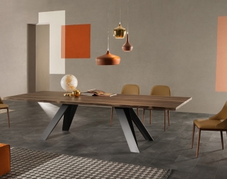 celtis-table-4-jpg